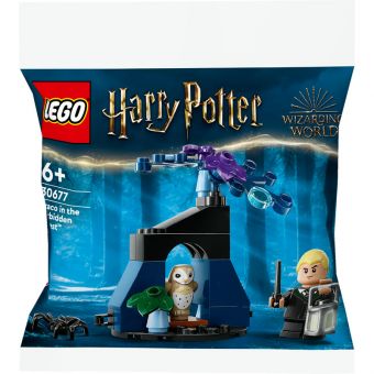 LEGO Harry Potter TM - Draco i Den forbudte skogen 30677